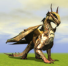 Bronze dragon