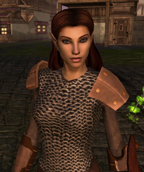 Elanee in the Docks District of Neverwinter