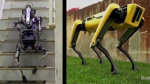 Boston Dynamics Robotics