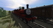 NWR Red