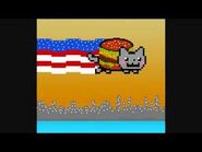 American Nyan Cat