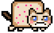 The original gif used for Nyan Grumpy Cat's page on its NYAN.CAT page.