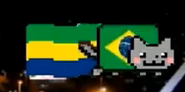 Brazilian Nyan Cat 5