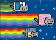 Nyan Floppy Disk on a refrigerator magnet with Nyan Cat and Game Boy Cat