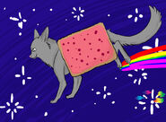 Nyan Cat 10