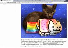 Nyan Cat Boy proof