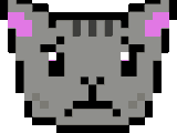 Ukrainian Nyan Cat (Pig)