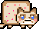 Grumpy Nyan Cat