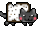 Cookies N Creme Cat