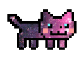 Galaxy Cat