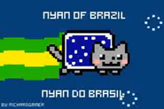 Brazilian Nyan Cat (1/4)