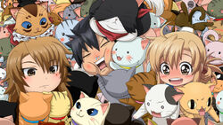 Nyan koi discount