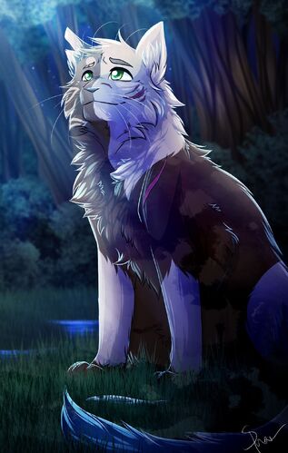 Storm | Oasis Warrior Cats Wiki | Fandom