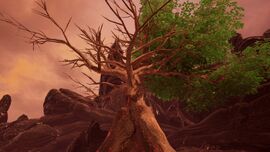 SoriaTree1.jpg