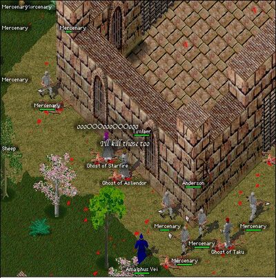 Asliendor.jpg