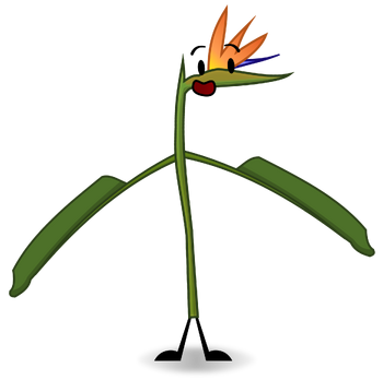 Crane Flower