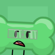 Chew Toy