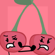 Cherries