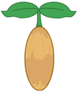 Seed