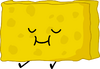 Spongy (, Have Nots, 11th)