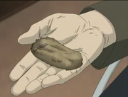 Rabbit's foot.png