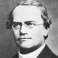 Gregor Mendel.jpg