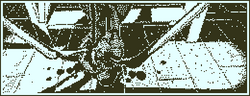 VI8.png