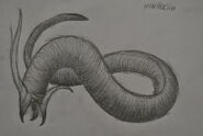 A sketch of the creature