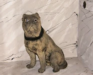 Stiffy.jpg (161 KB) A photo of Stiffy Green