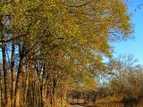 Demon's Road