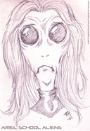 Ariel.jpg (76 KB) An artist's depiction