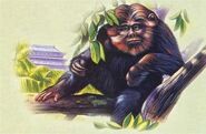 Artist's sketch of the Yeren sitting in a tree with a building in the background