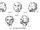 Hexham Heads