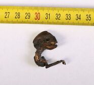 Kovahsi3.jpg (43 KB) A photo of the corpse (shown next to a measuring tape showing centimeters)