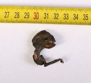 A photo of the corpse (shown next to a measuring tape showing centimeters)