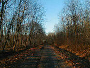 A photo of the road