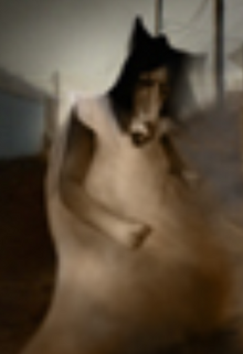 Screenshot 2020-02-20-18-10-28~2.png