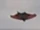 Chicago Mothman