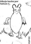 An eyewitness sketch
