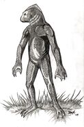 A sketch of the creature