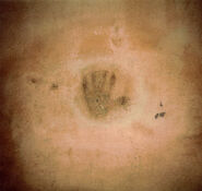 A photograph of the handprint