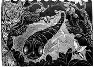 An illustration by Wilson of her sighting.