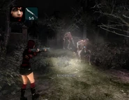 Shannon aiming at an ArbolTrebol