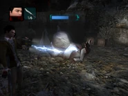 One can see its human appearance