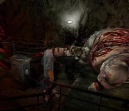 The third and last Queen