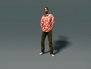 Josh will have a Hawaiian t-shirt and beard.