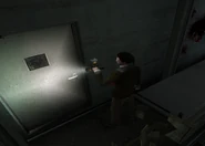 Orange version in-game