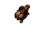 Newbiter2.png (1.09 MB) The human biter's face