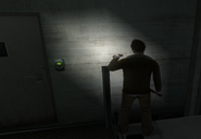 Green version in-game