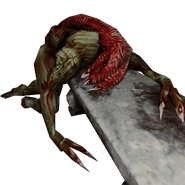 This is Matt's corpse. One can see that he has more saturated colors.